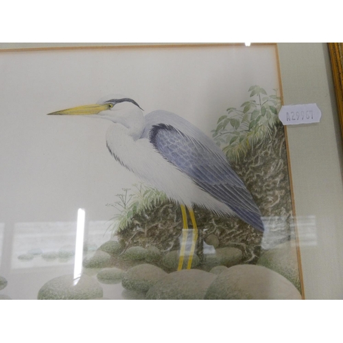 380 - John JenmanHeron watercolour