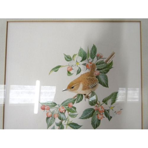 384 - John JenmanWren Watercolour