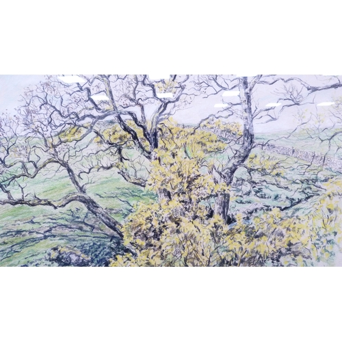 300 - Roy Hooker (Scottish)Colours of SpringSigned, pastel and mixed media, 29cm x 44cm.Label verso with t... 