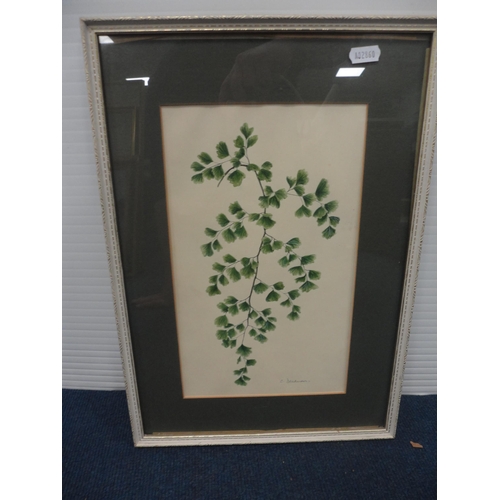 49 - Botanical and other prints, and a hand-coloured map showing the route of Hannibal's expedition.&nbsp... 