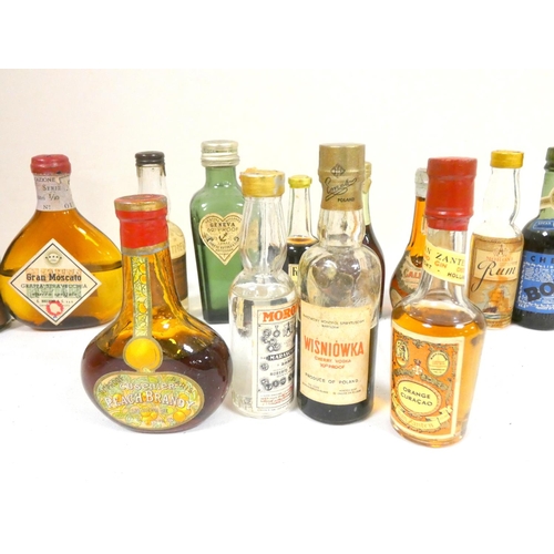 65 - Large group on miniatures to include NORMANDIN Cognac, GUINNESS, Chianti, Mathers old rum and black ... 