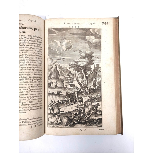 100 - SELENUS GUSTAVUS (Duke of Brunswick-Luneburg), Gustavi Seleni Cryptomenytices et Cryptographiæ ... I... 