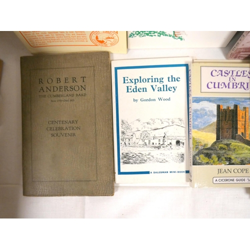 41 - Cumbria & Lake District.  A carton of books & softback publications.... 