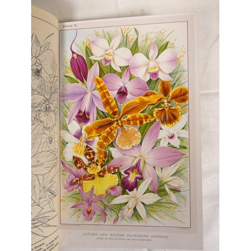 265 - BURBERRY H. A.  The Amateur Orchid Cultivators' Guide Book. 4 fine col. plates & other illus. Or... 