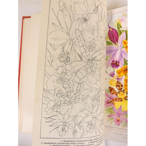 265 - BURBERRY H. A.  The Amateur Orchid Cultivators' Guide Book. 4 fine col. plates & other illus. Or... 