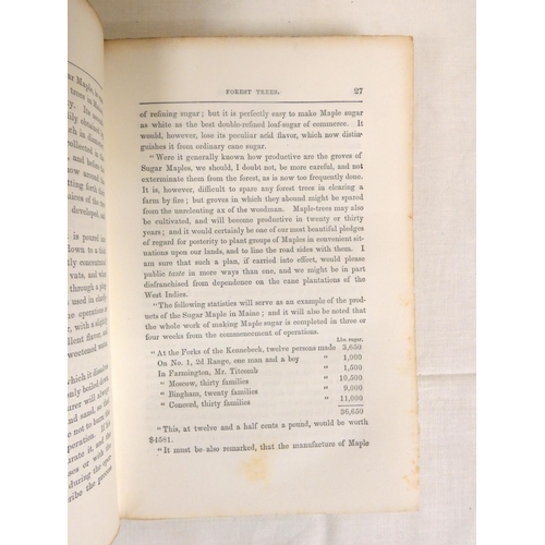 267 - BUCHANAN JAMES.  Sketches of the History, Manners & Customs of the North American Indi... 