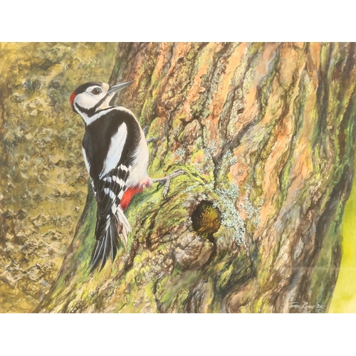 388 - JAMES RENNY (Sri Lankan b1946) *ARR* Greater Spotted Woodpecker Acrylic painting, signed and dated 2... 