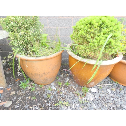 551 - Two large salt glaze garden planters.