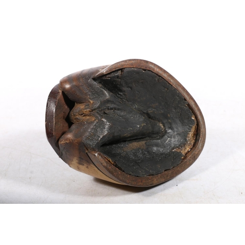 272 - Victorian horses hoof presentation plaque holder, L15cm.