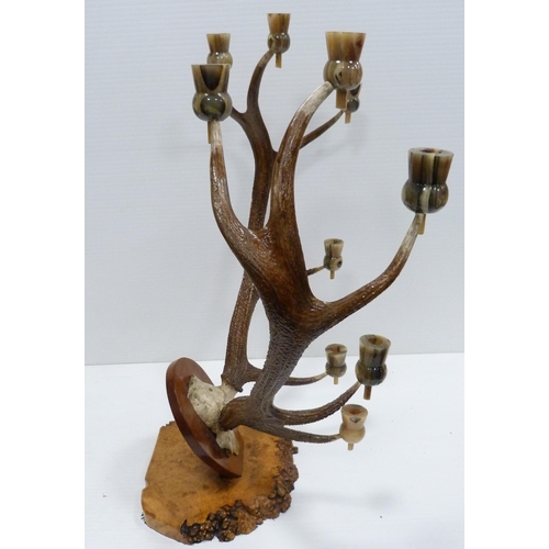 310 - Taxidermy Interest: Pair of five-point antlers with skull on a wall plinth, each point has a later h... 