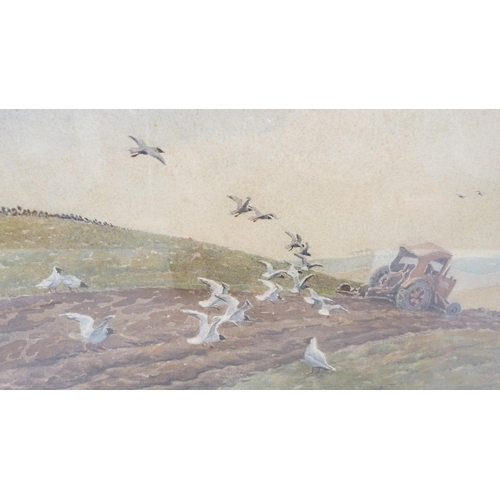 347 - Donald Watson (Scottish, 1918 - 2015)Gulls feeding behind a farmer's ploughSigned and dated March '5... 