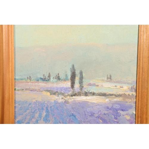 373 - 20TH CENTURY SCHOOL, purple fields, oil painting on board, indistinctly signed lower right, 30cm x 3... 