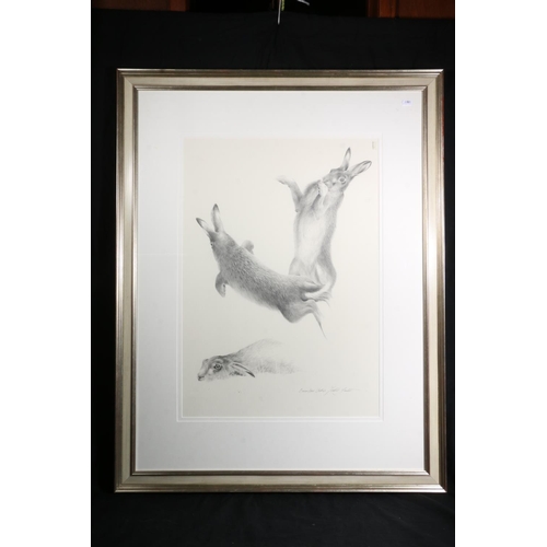 404 - TERENCE LAMBERT, Studies of Brown Hares, pencil drawing, signed lower right, 69cm x 49cm, frame 105c... 