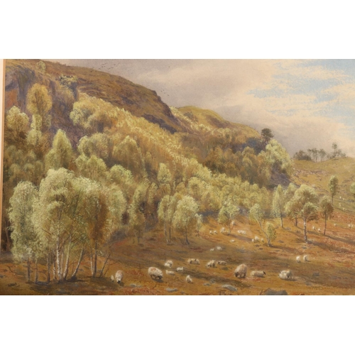 412 - GERTRUDE MARTINEAU, Sheep Grazing, watercolour, unsigned, 20cm x 28cm, frame 36cm x 44cm. Malcolm In... 