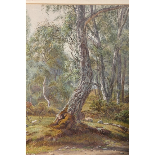 414 - EDITH MARTINEAU, Near Kinrar 1883, watercolour, unsigned, 23cm x 17cm, frame 40cm x 32cm. Malcolm In... 