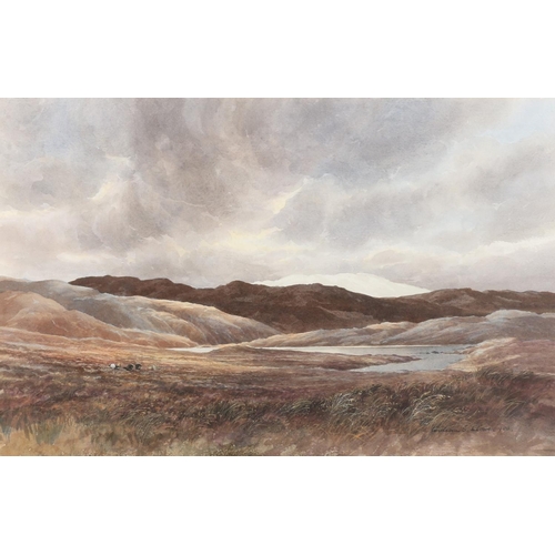 415 - WILLIAM SIMPSON CLOWE, Highland lochscape with capercaillie, watercolour, signed and dated 1980 lowe... 