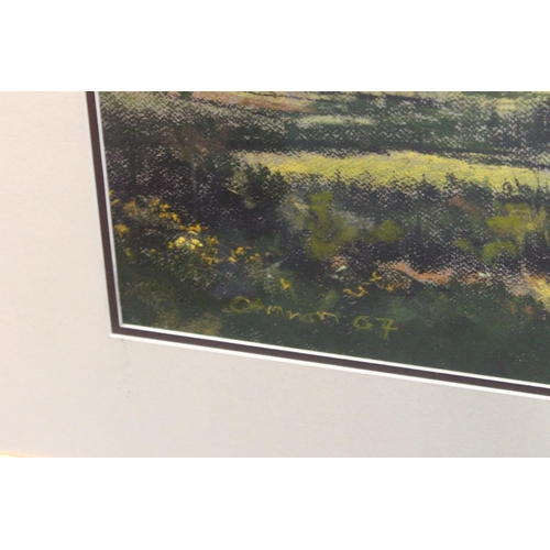 454 - CAMERON? landscape, pastel painting, signed indistinctly lower left and dated '07, 59cm x 78cm, fram... 