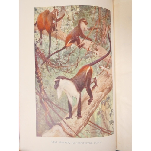 30 - GRESHAM (Pubs).  The Natural History of Animals. 8 vol. set in orig. red cloth with col. p... 