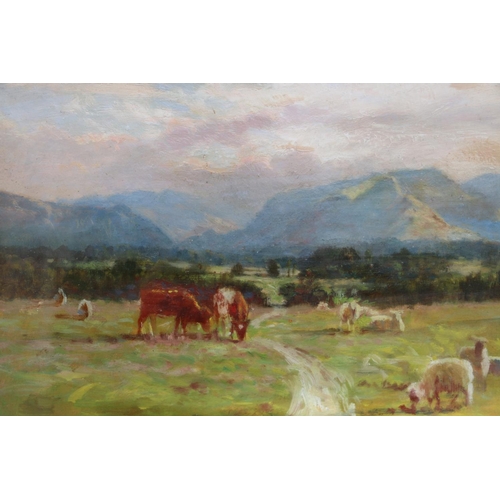 485 - RALPH ERSKINE FRASER, Cattle and Sheep Grazing, oil on board, unsigned, 22cm x 33cm, gilt frame 39cm... 