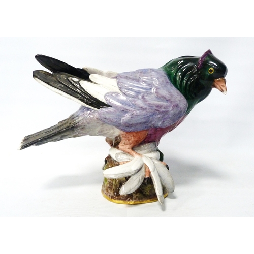 242 - Meissen painted porcelain model of a pigeon (taube) of large form, c. early part of 20th century, gl... 