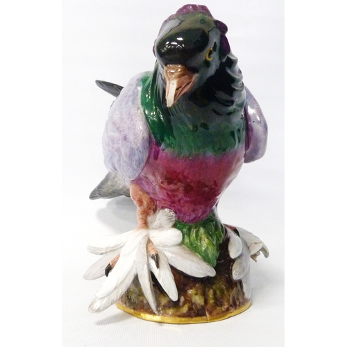 242 - Meissen painted porcelain model of a pigeon (taube) of large form, c. early part of 20th century, gl... 