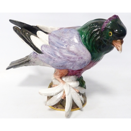 242 - Meissen painted porcelain model of a pigeon (taube) of large form, c. early part of 20th century, gl... 