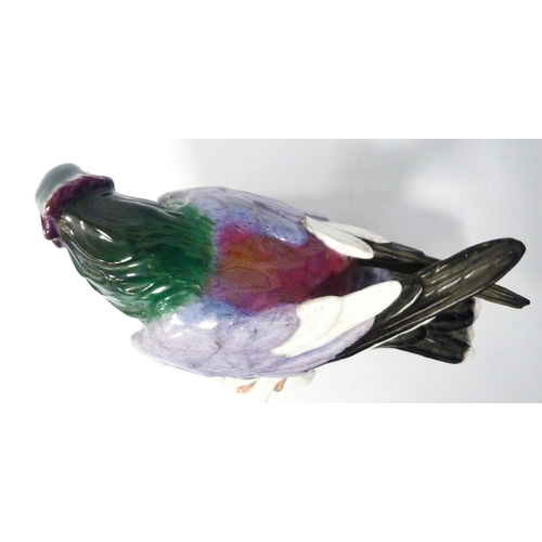 242 - Meissen painted porcelain model of a pigeon (taube) of large form, c. early part of 20th century, gl... 