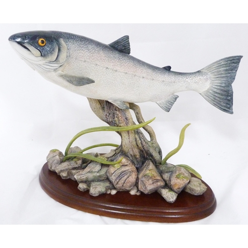 257 - Border Fine Arts limited edition figure, 'King of the River', modelled as a salmon fixed to an under... 