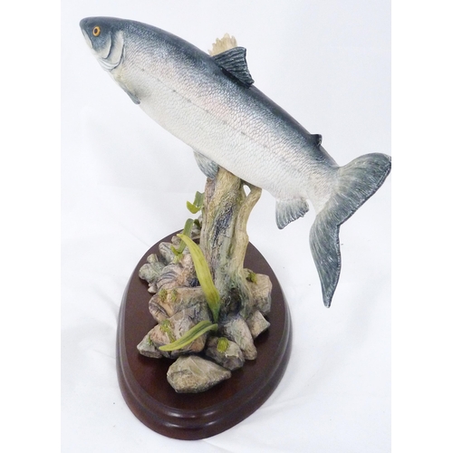 257 - Border Fine Arts limited edition figure, 'King of the River', modelled as a salmon fixed to an under... 