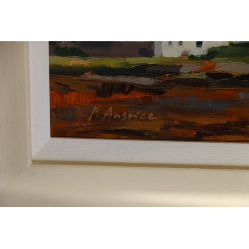 405 - PENELOPE ANSTICE, Tiree and Plockton, two oil paintings on board, signed, 21cm x 29cm, frame 33cm x ... 