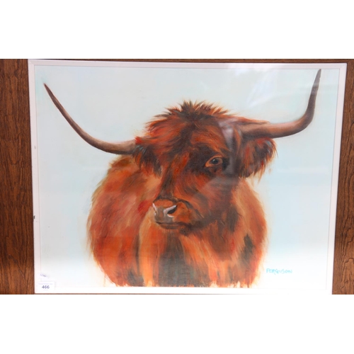 466 - FERGUSON, Highland cow, oil painting, signed lower right, 49cm x 64cm, oak frame 68cm x 82cm.