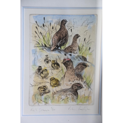 470 - PETER PARTINGTON (British b1941), Ptarmigan and Re Grouse, two limited edition pencil signed prints,... 