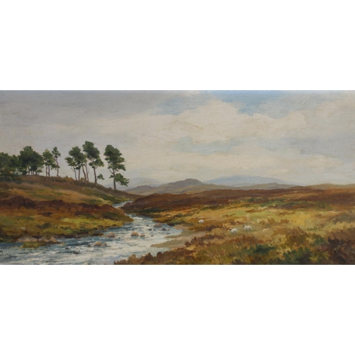 474 - ROBERT EGGINTON, Scottish Highland landscape with river and Scots pines, oil painting on board, sign... 