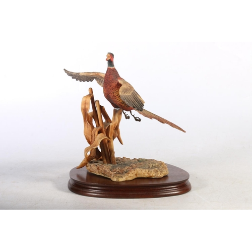 112 - Border Fine Arts model of a pheasant rising with original box.