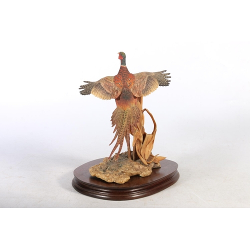 112 - Border Fine Arts model of a pheasant rising with original box.