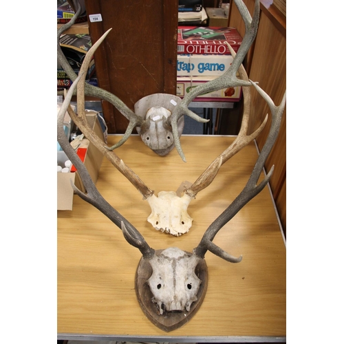 151 - Three set of antler horns.