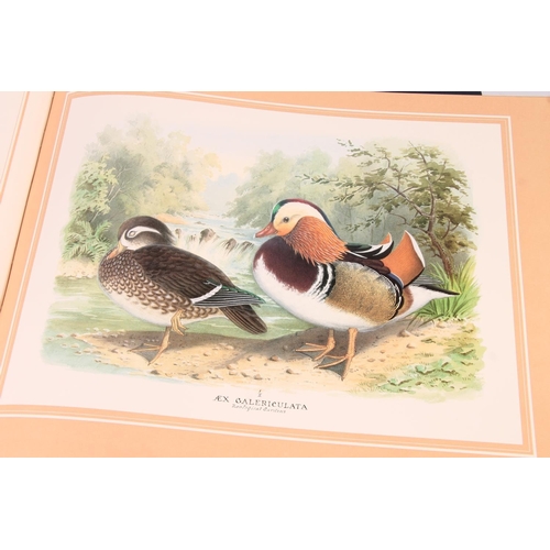 179 - Olney, Peter J S, The Wildlife Paintings of Henry Jones, Limited Edition, publ. Threshold/Harrop.