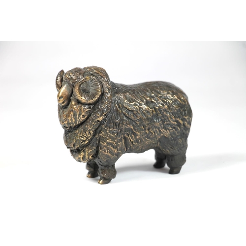 244 - Small bronzed model of a Merino Ram.