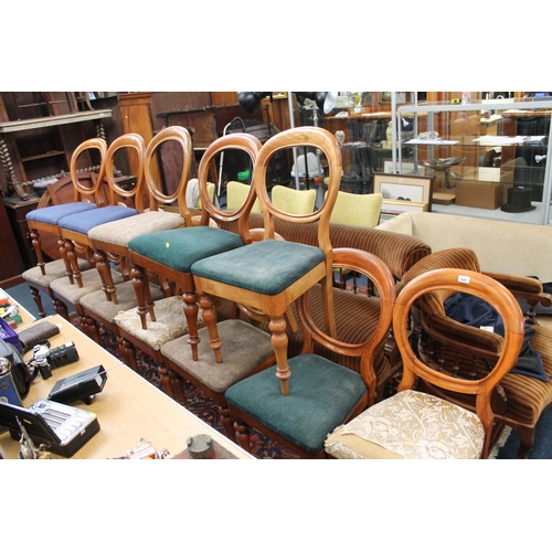 680 - Near set of 12  Victorian mahogany balloon back dining chairs.