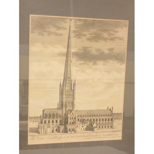 148 - J. HARRIS AFTER T. KIRKPATRICK. The North East Prospect of the Cathedral Church of Norwich. Ant... 