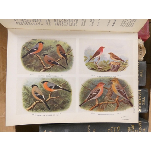 176 - GOULD JOHN.  Birds of Asia, Birds of New Guinea & Birds of South America. 3 vols. Col.... 