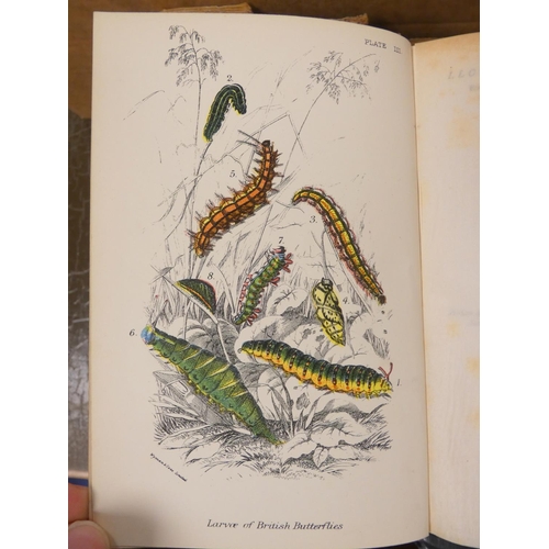 177 - KIRBY W. F.  Lloyd's Natural History - Butterflies, vols. 1, 2 & 3 & Butterflies &... 