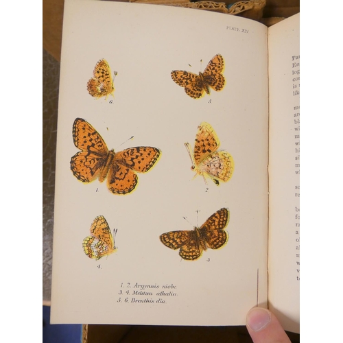 177 - KIRBY W. F.  Lloyd's Natural History - Butterflies, vols. 1, 2 & 3 & Butterflies &... 