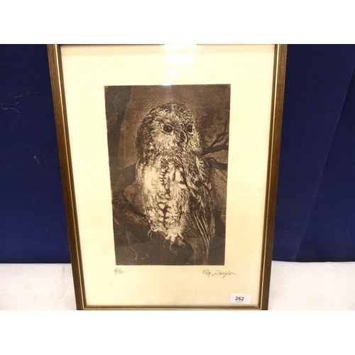 262 - Limited edition owl print by Roger Sampson, pencil signed.