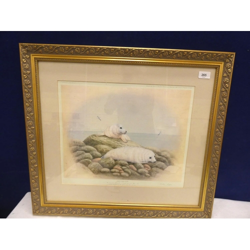 265 - Pencil signed, Andrew Cooper, Grey Seal Pups, print in gilt frame.