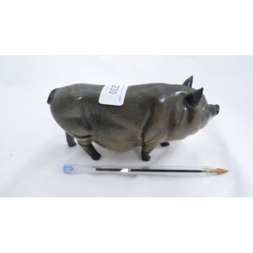 230 - Royal Doulton figure of a pot-bellied pig.