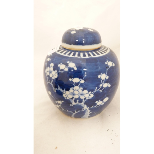 54 - Chinese Kangxi-style prunus decorated ginger jar and cover with double concentric lines to the under... 