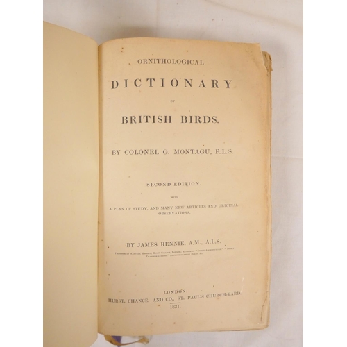 211 - MONTAGU COLONEL G.  Ornithological Dictionary of British Birds. Eng. text illus. Rebound, foxing int... 