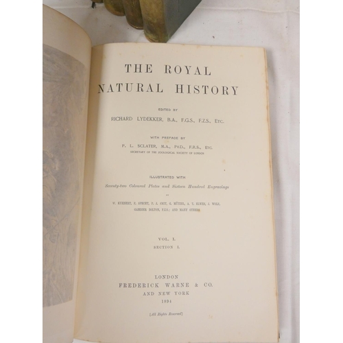 253 - LYDEKKER RICHARD.  The Royal Natural History. 8 vols. re mammals & birds. Chromolitho ... 