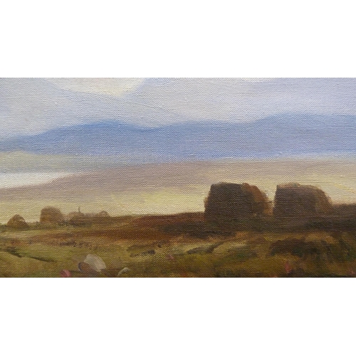 366 - Maurice Canning Wilks (Irish, 1910 - 1984)Near Maam Cross, County GalwaySigned, oil on canvas, 49cm ... 